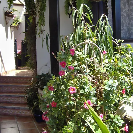 Im Englischen Stil Mit Meerblick Appartement Icod De Los Vinos