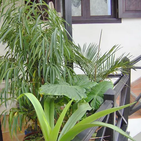 Appartement Im Englischen Stil Mit Meerblick