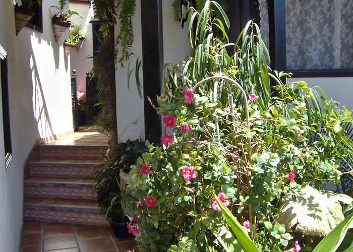 Im Englischen Stil Mit Meerblick Appartement Icod De Los Vinos