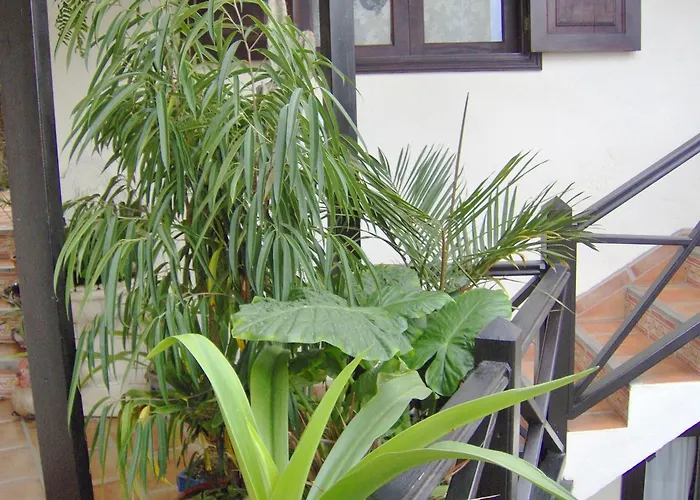 Appartamento Im Englischen Stil Mit Meerblick