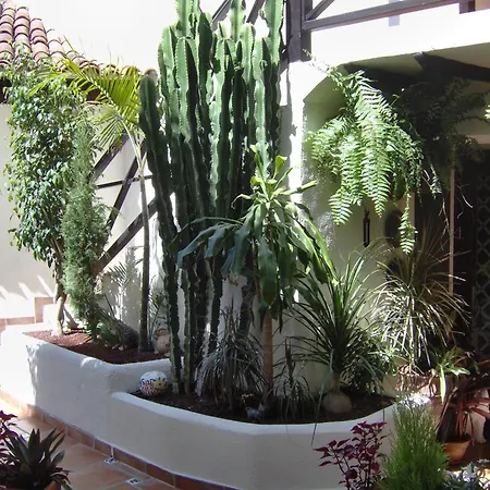 Im Englischen Stil Mit Meerblick Apartment Icod De Los Vinos